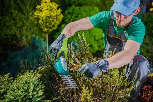 landscaping services Powers